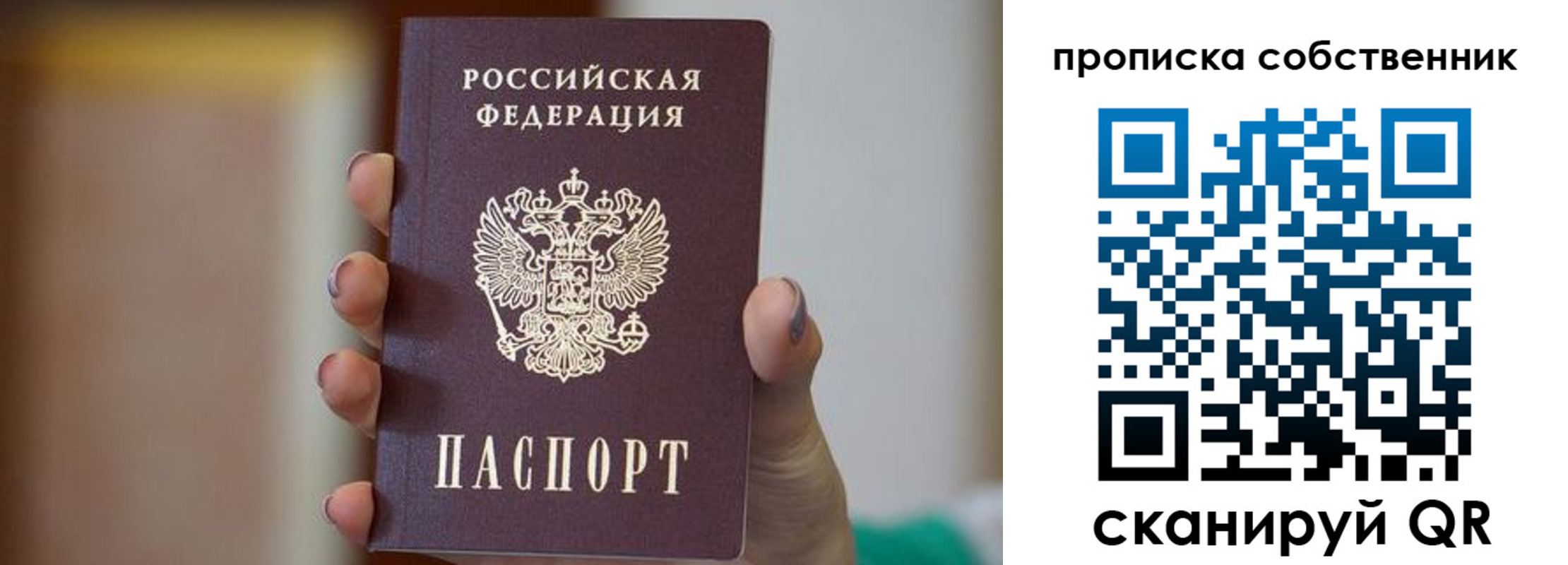 прописка поиск в Купино